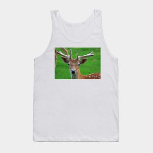 Fallow Deer, June 2019 Tank Top